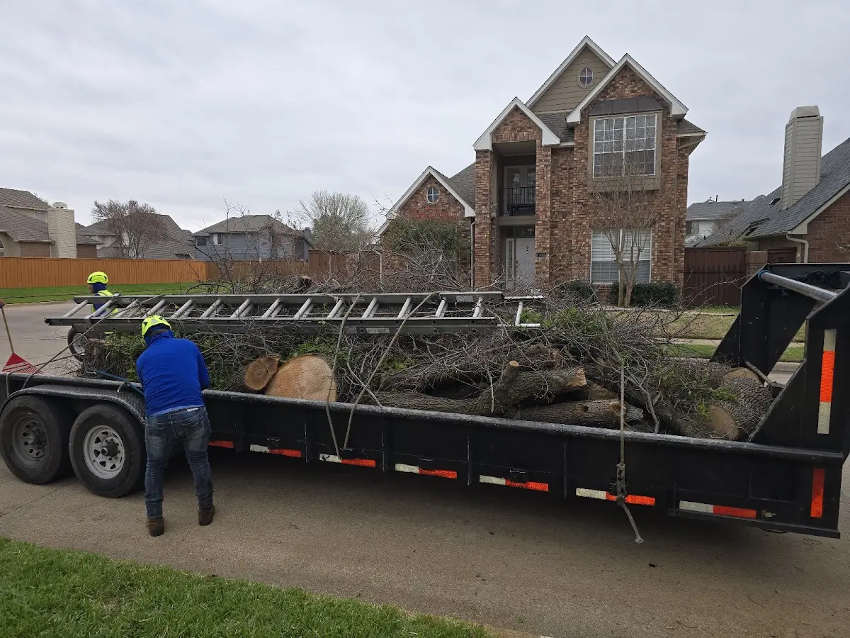 Expert Lot Clearing with proper safety equipment in Muncie